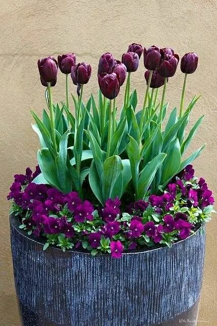 Ramos de Flores Naturais e Decoração Floral